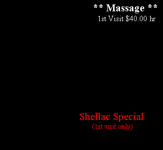 Text Box:                                       ** Massage **                                               1st Visit $40.00 hr                                               Shellac Special                                  (1st visit only)